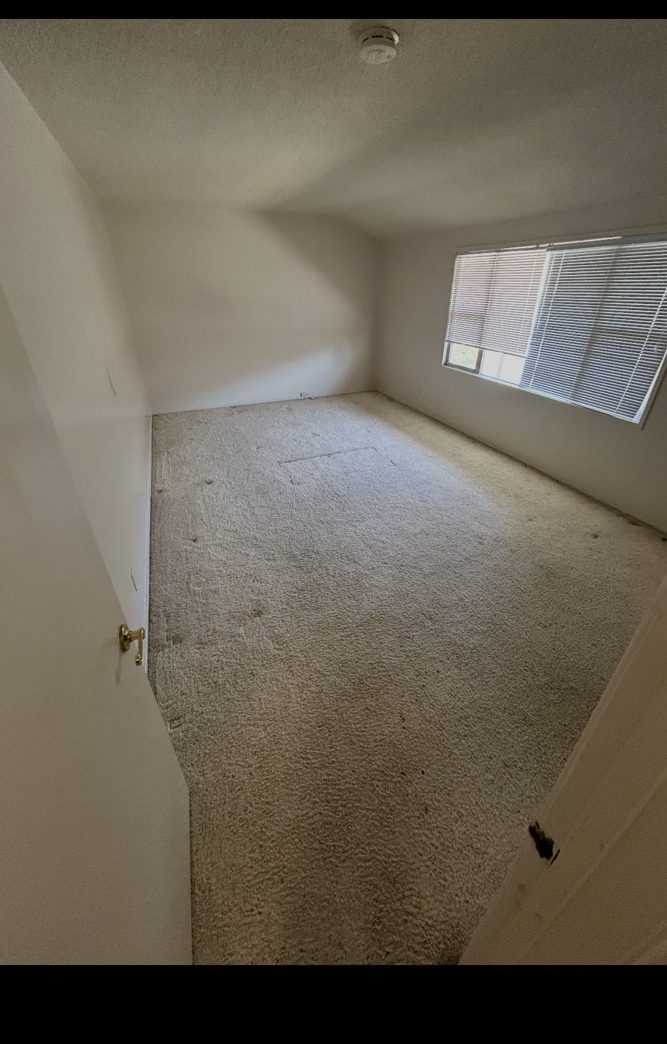 Cleared room