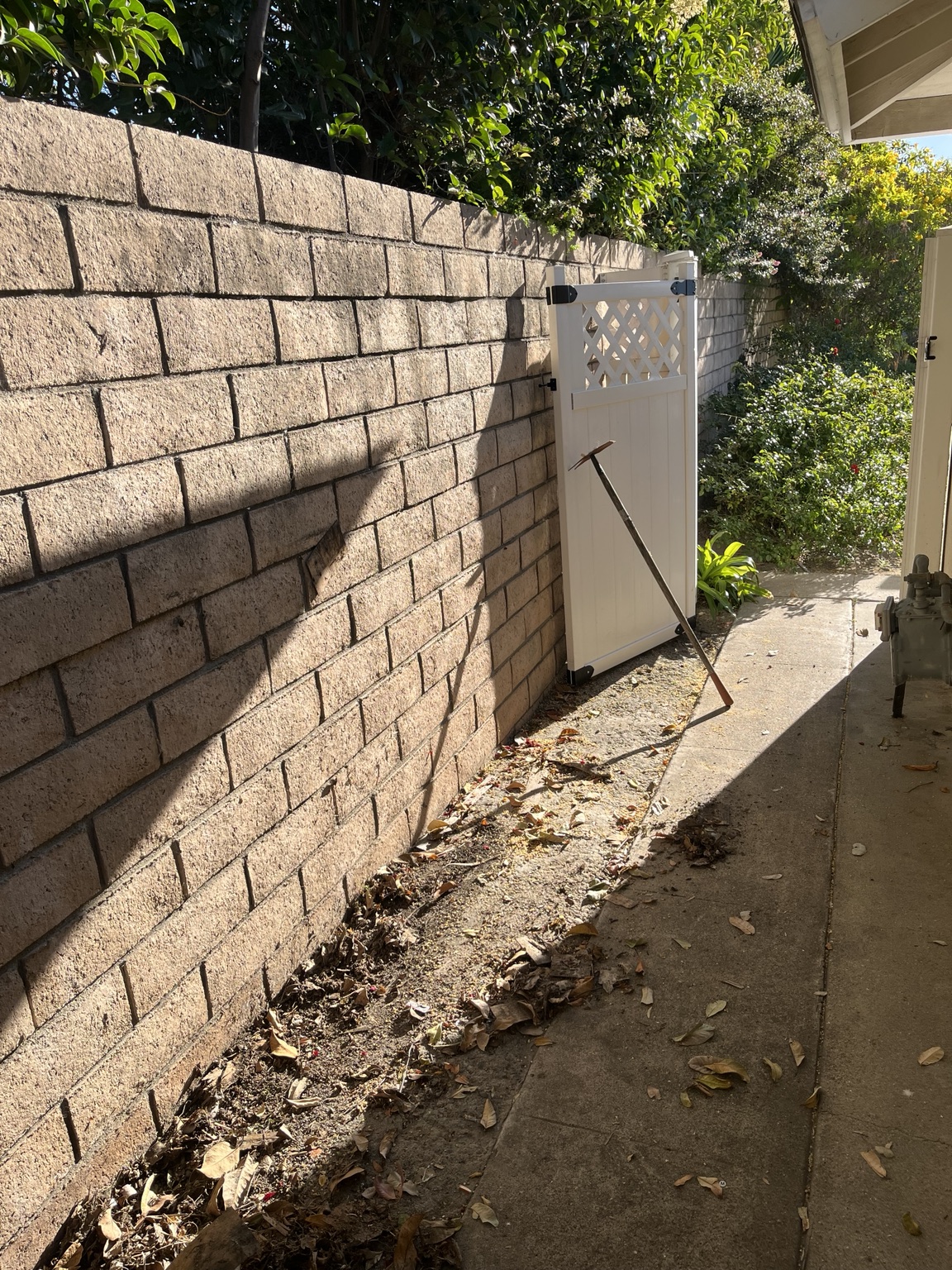 Yard Cleanup